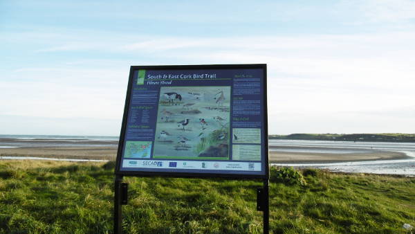 East Cork Bird Watching