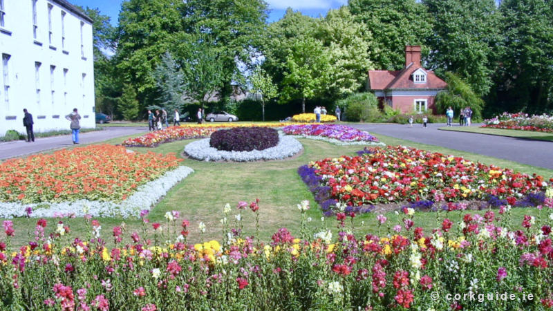 Fitzgeralds Park Flower Bed