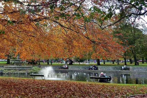 Fitzgeralds Park