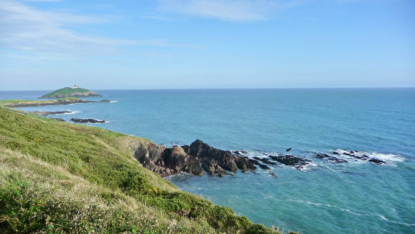 East Cork Bird Watching