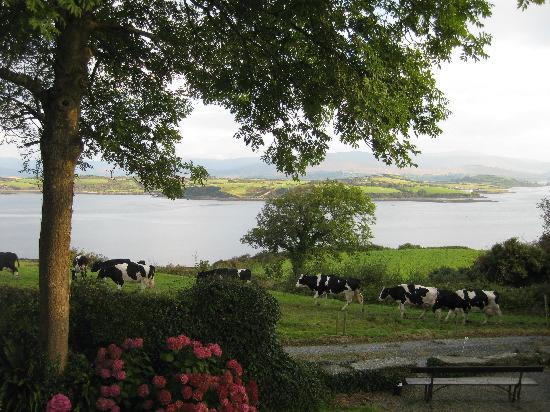 Dromcloc House Bantry Bed & Breakfast